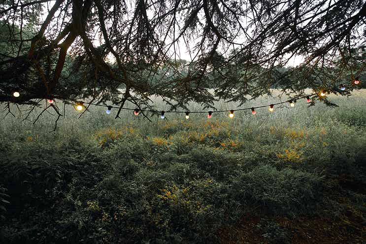 SILENCES ©Thierry des Ouches (3)