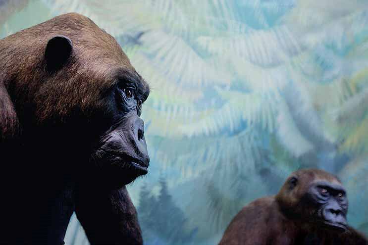 SILENCES ©Thierry des Ouches (9)