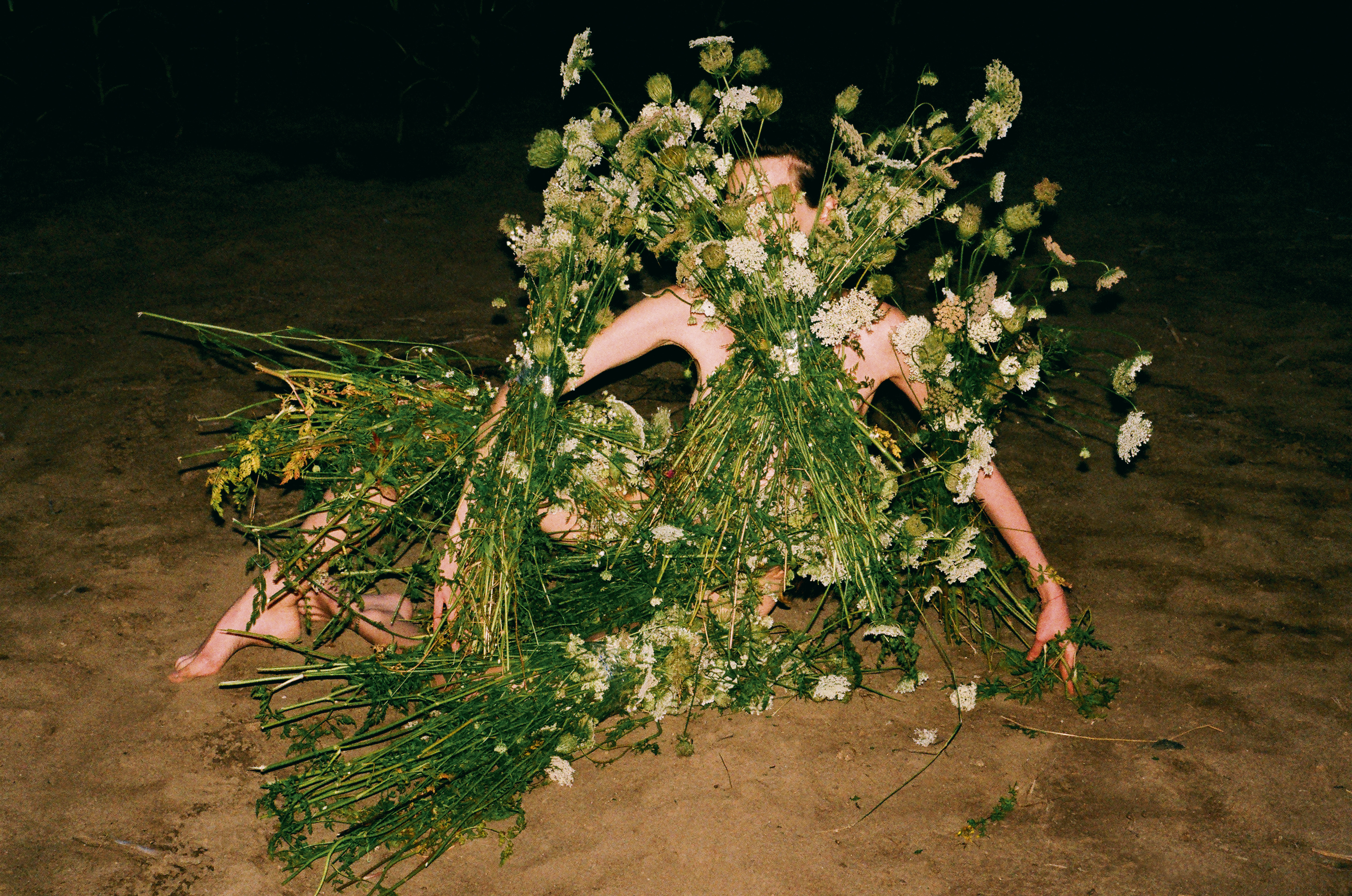 Synchrodogs_Slightly_Altered_24_bigger