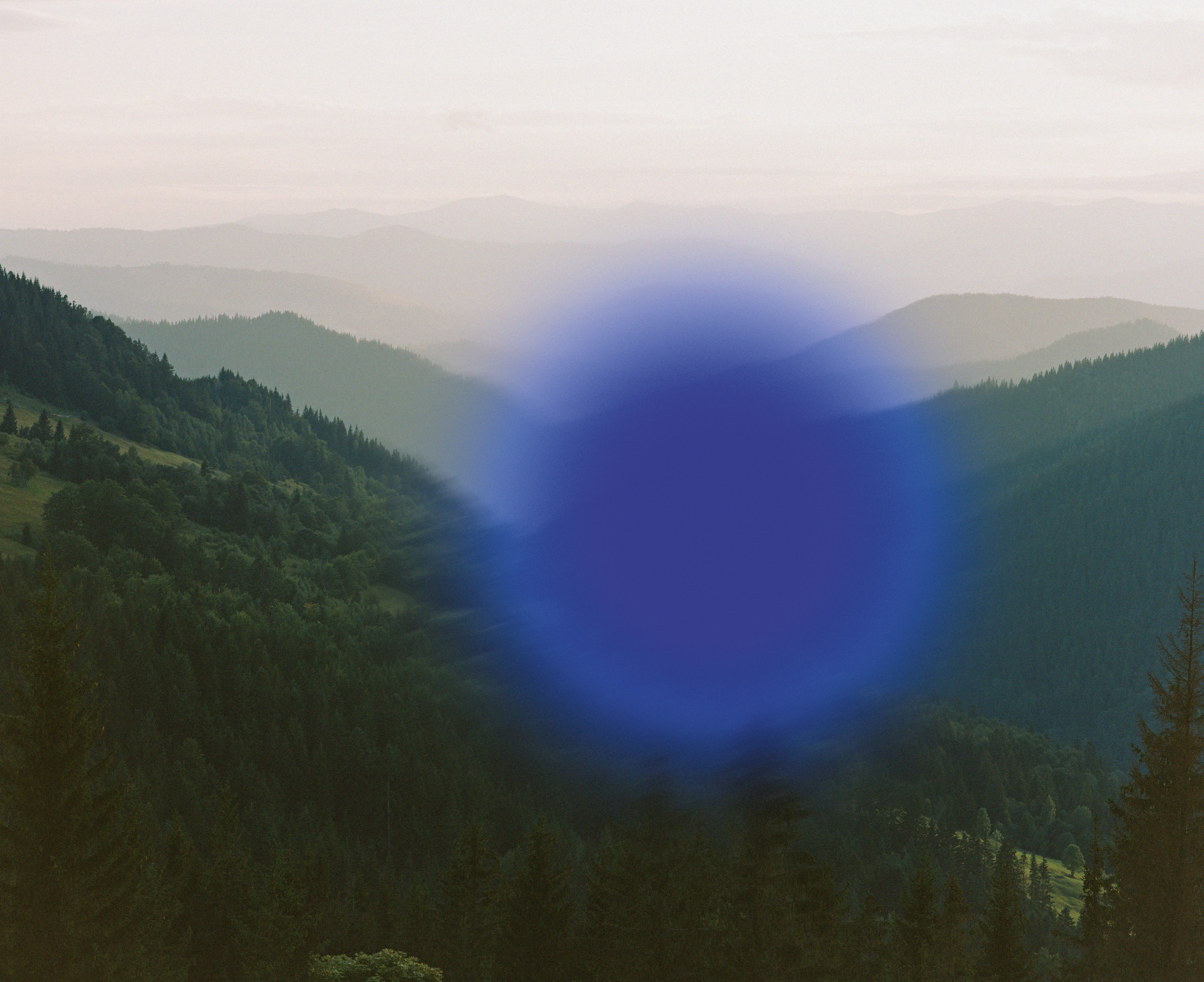 Synchrodogs_Slightly_Altered_43_blue_dot