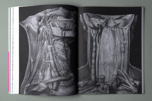 Tolo+(43+of+138)_EDITED