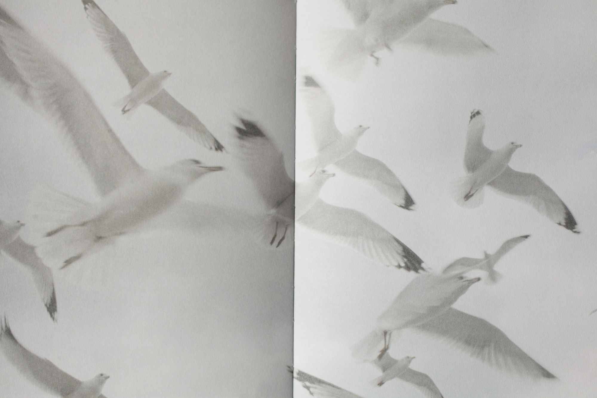 05_2020_LAPROMESSEBOOK-_MG_7786_photocopyrightMariliaDestot