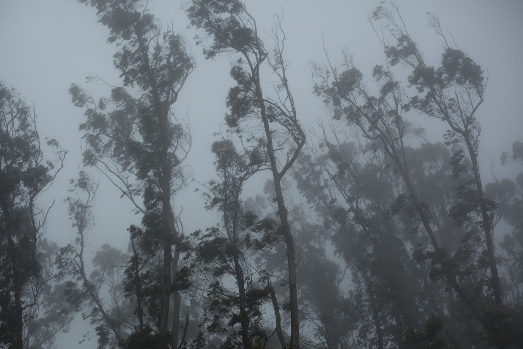 10_LAPROMESSE1_22_200908_MG_3401_photocopyrightMariliaDestot_V5