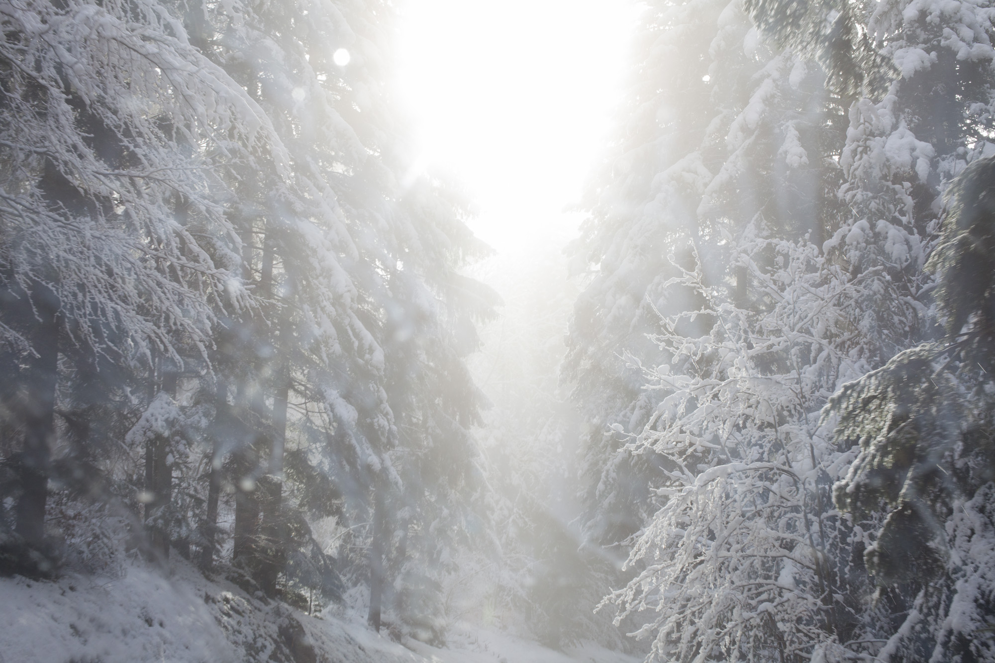 26_LAPROMESSE3_COVER IN_201312_MG_9271_photocopyrightMariliaDestot