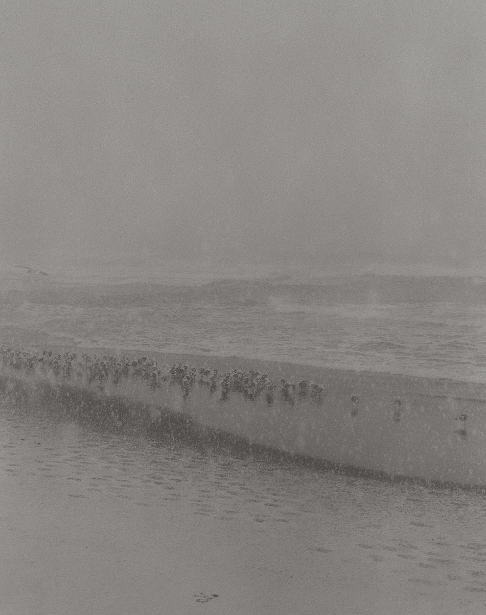 2_tb024, bhm2010, gelatin silver print 2019