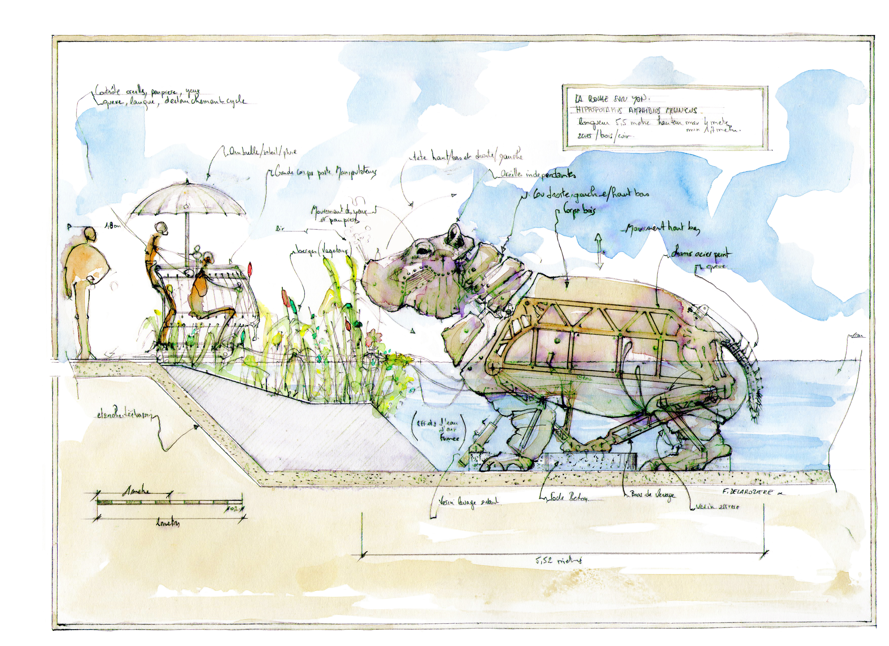 Croquis de l'Hippopotame (c) Delaroziere
