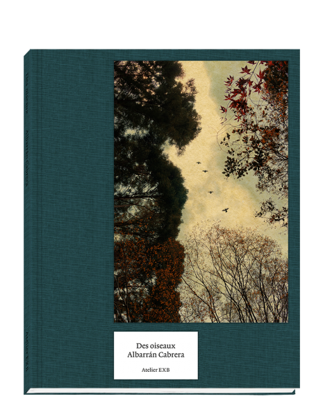 des-oiseaux-albarran-cabrera