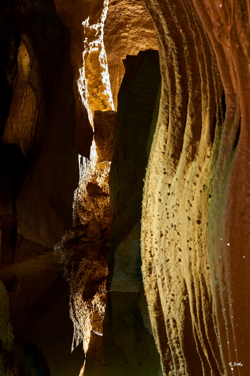 Grotte de la Cocalière
Draperie