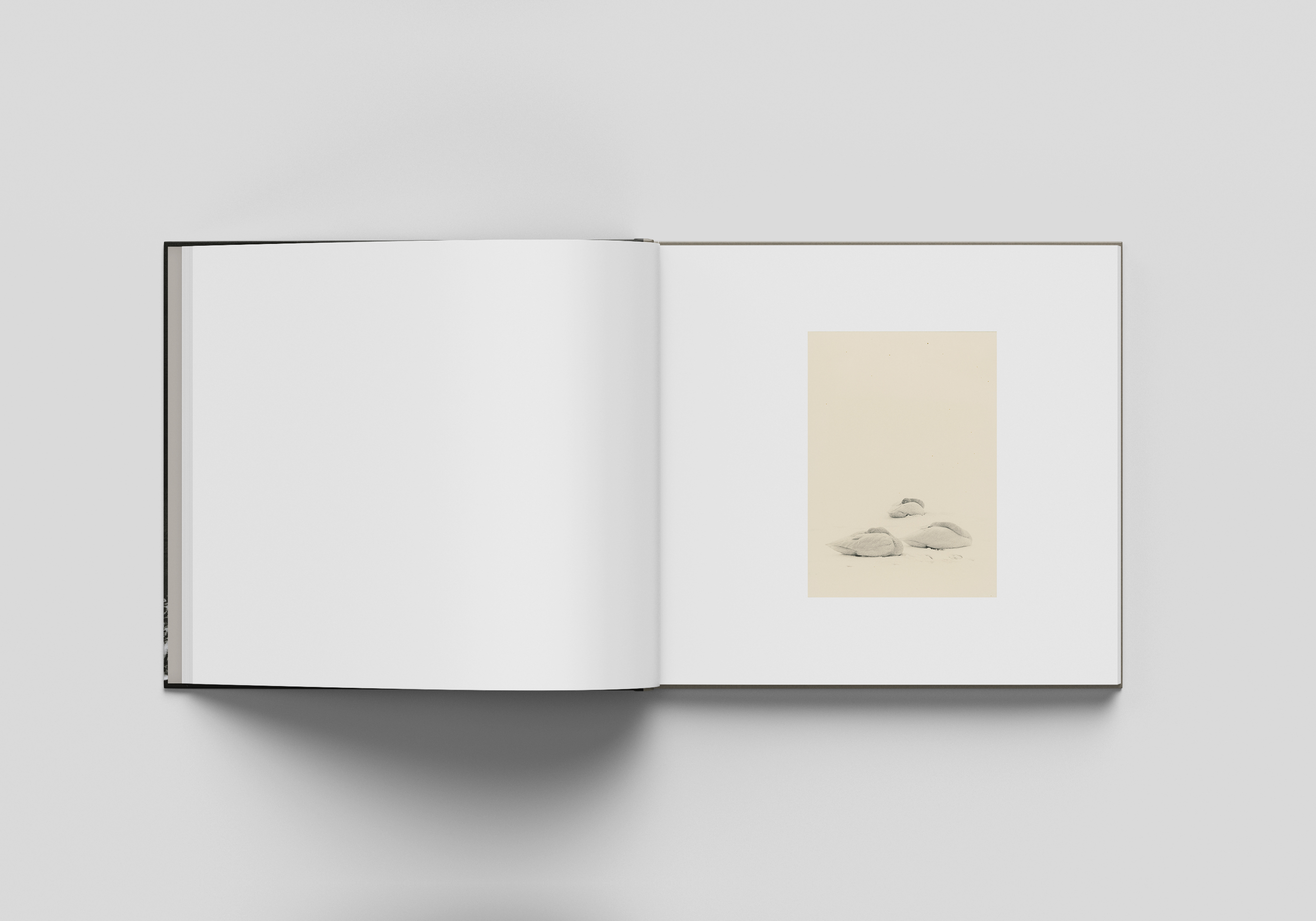 iikki-012-BOOK-PROMO-Inside-07