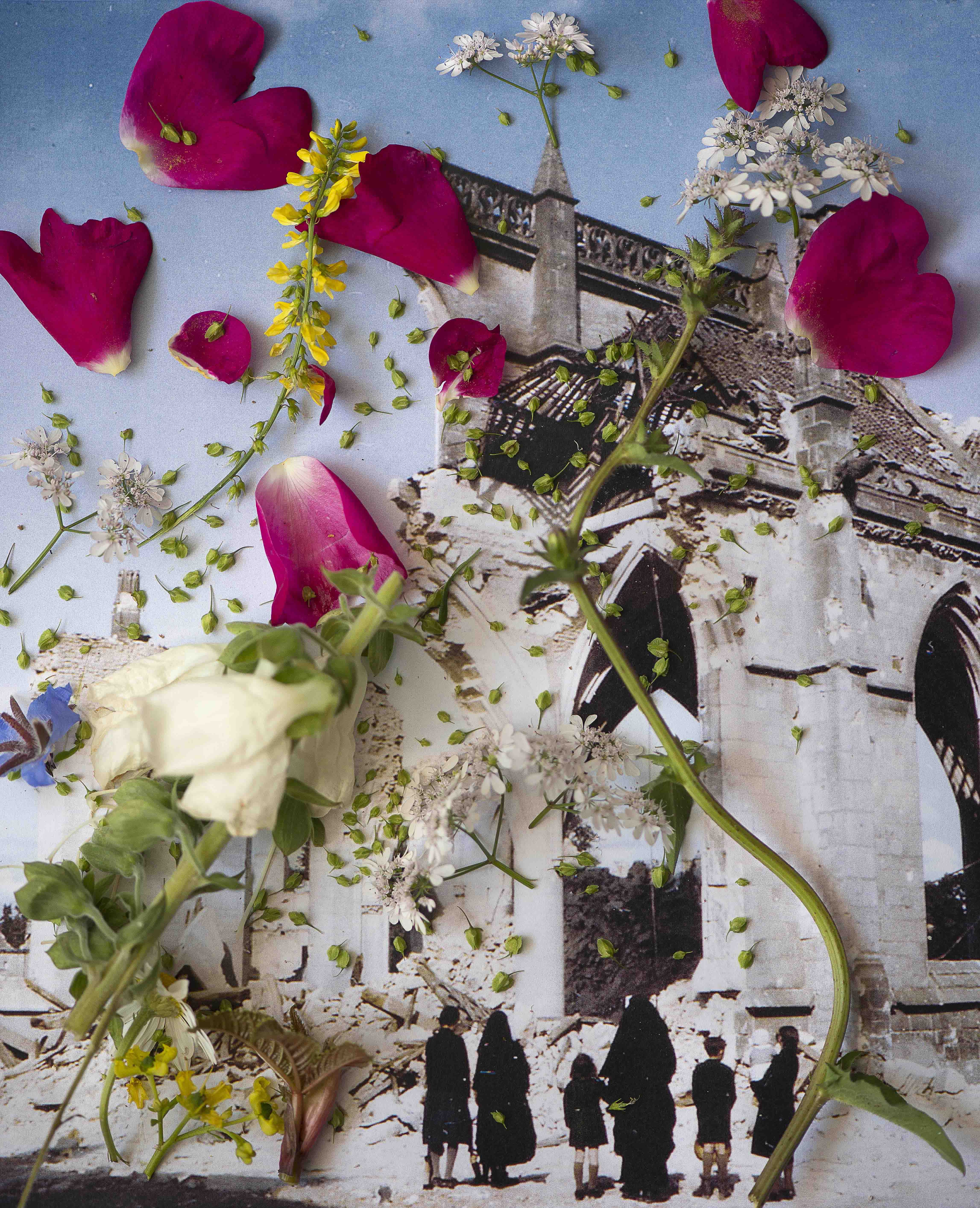 6 - Laurence Aëgerter - Digitalis ambigua - Healing Plants for Hurt Landscapes - BD