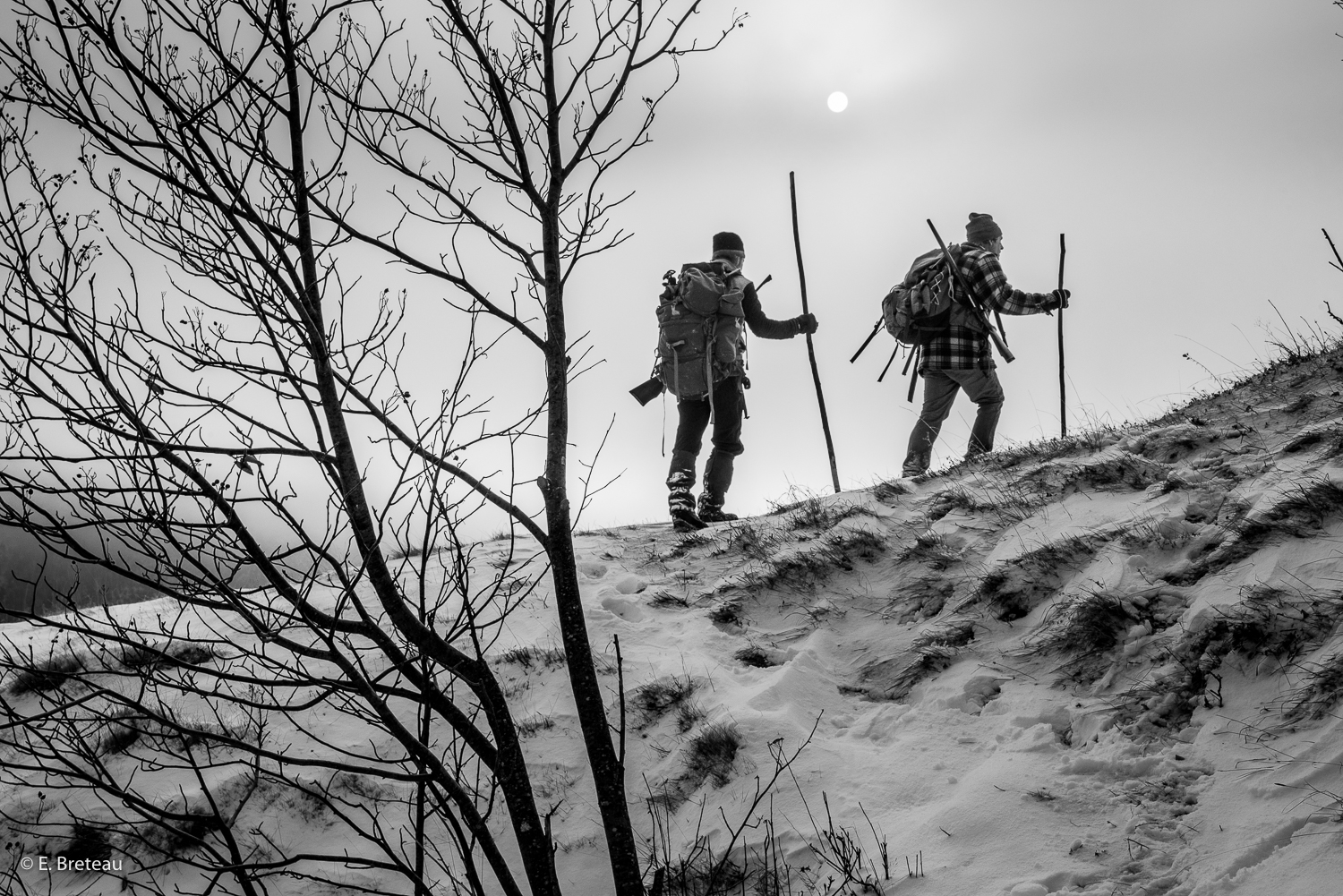 BRETEAU_2018_12_12_0006