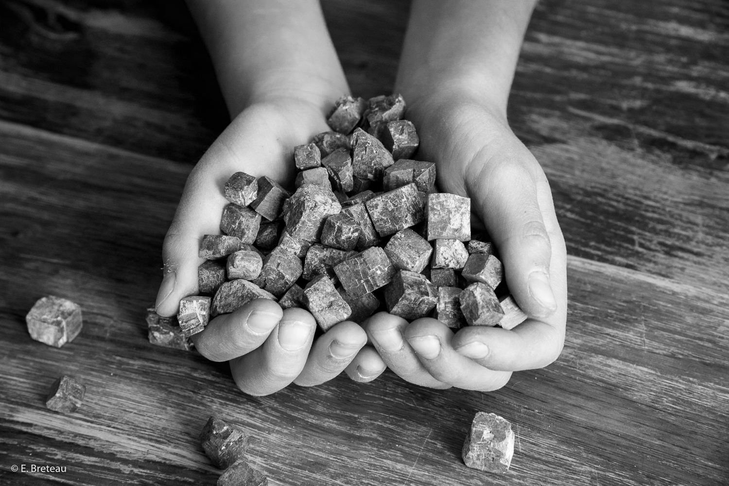 BRETEAU_2019_10_29_0004