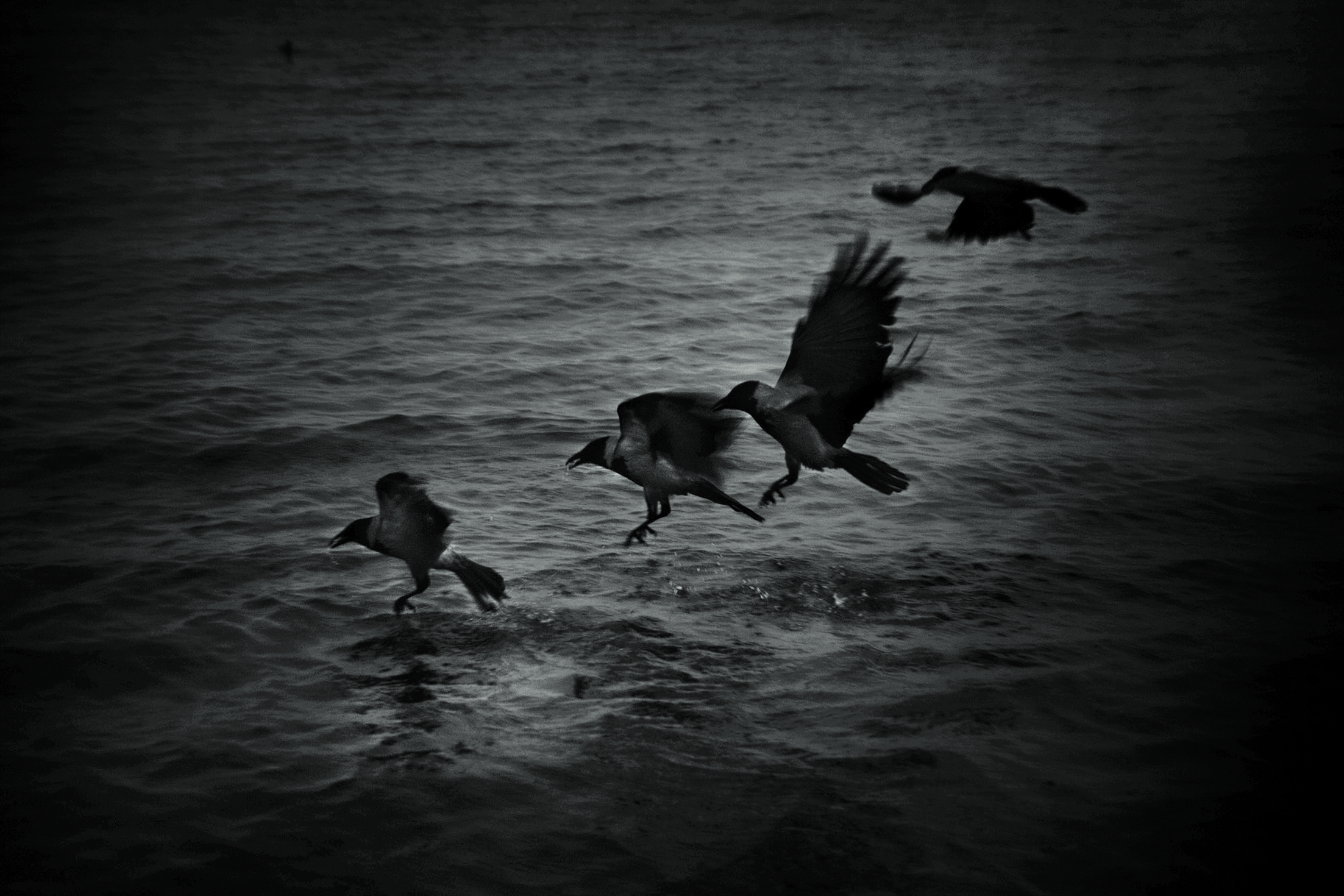 Epair_Ed_COSTENOBLE_ANNE_SOPHE