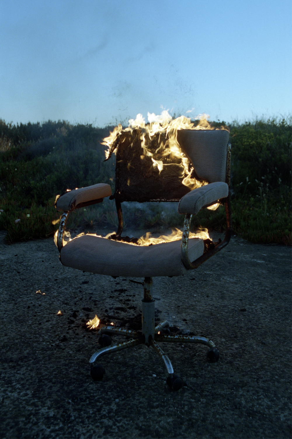 Fábio Miguel Roque (1)