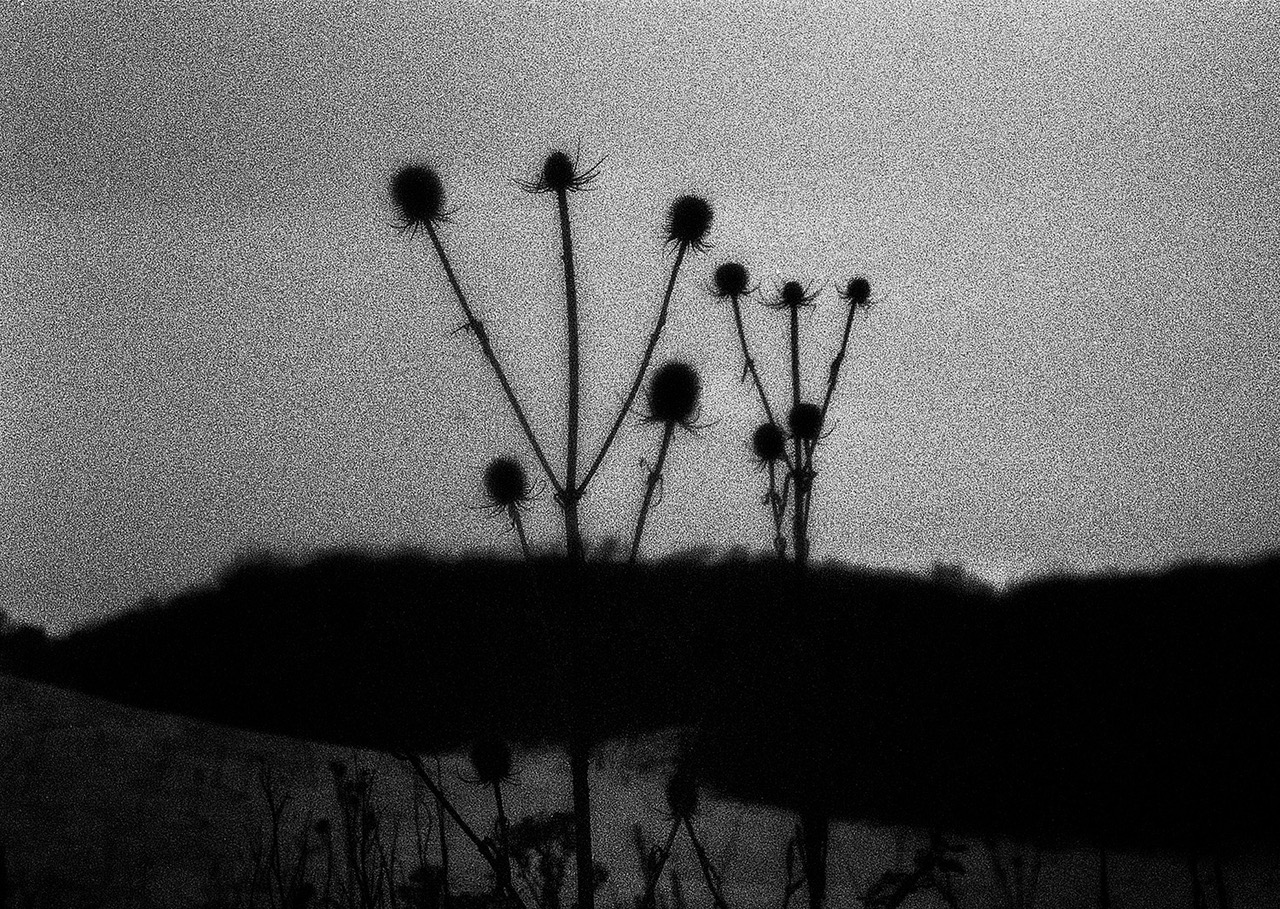 IMAGE-22-&-23-FULL-SPREAD