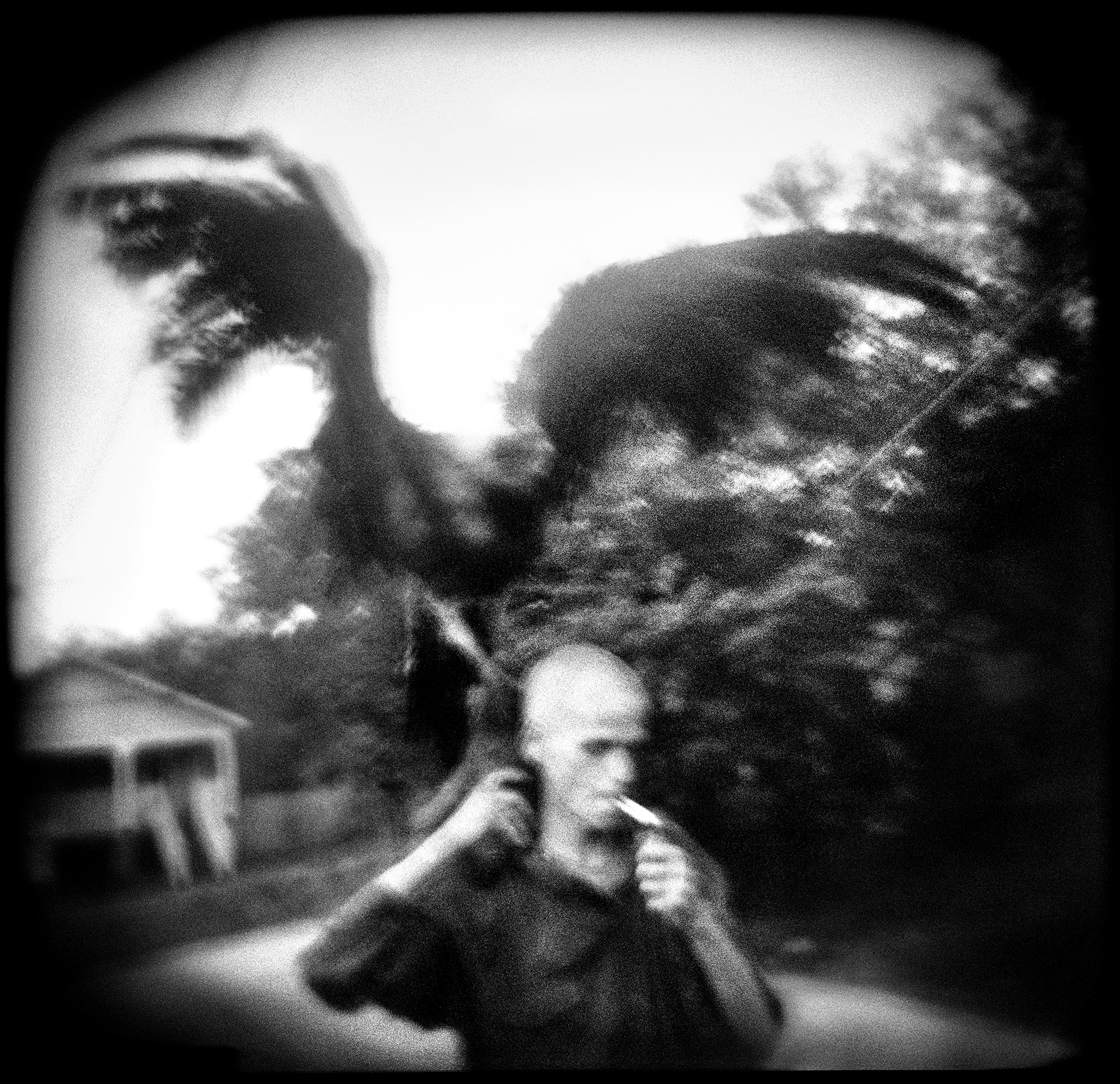 Michael Ackerman (1)