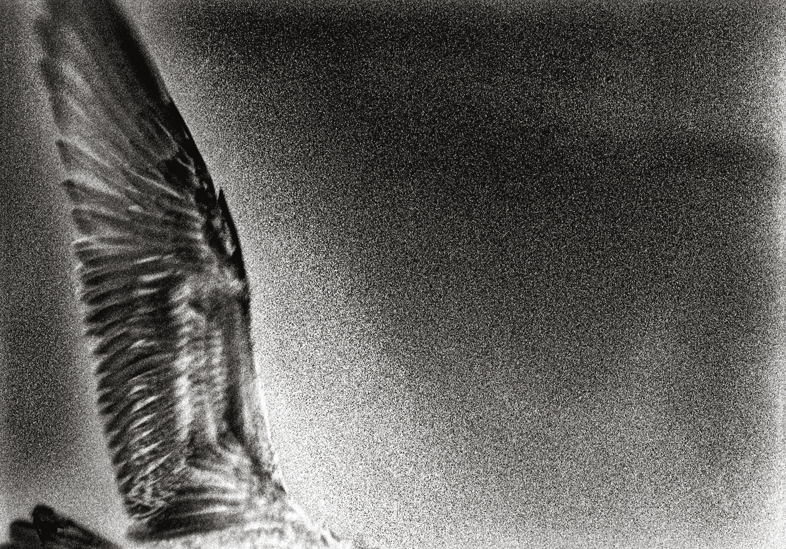 15_25078_SAZ_Faro_VilaR_0120_048_flat