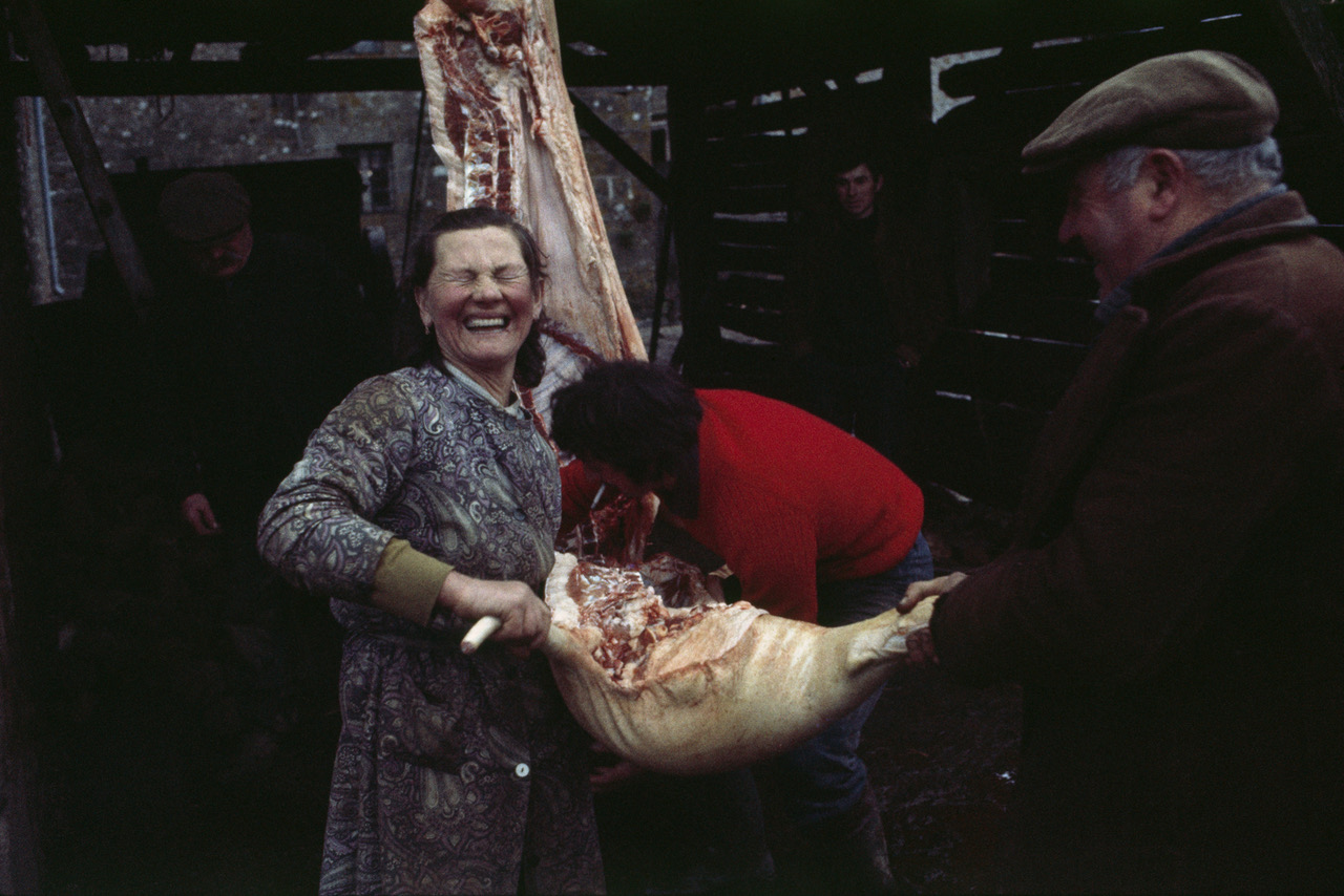 DeSinety.P26.26545P01H 001