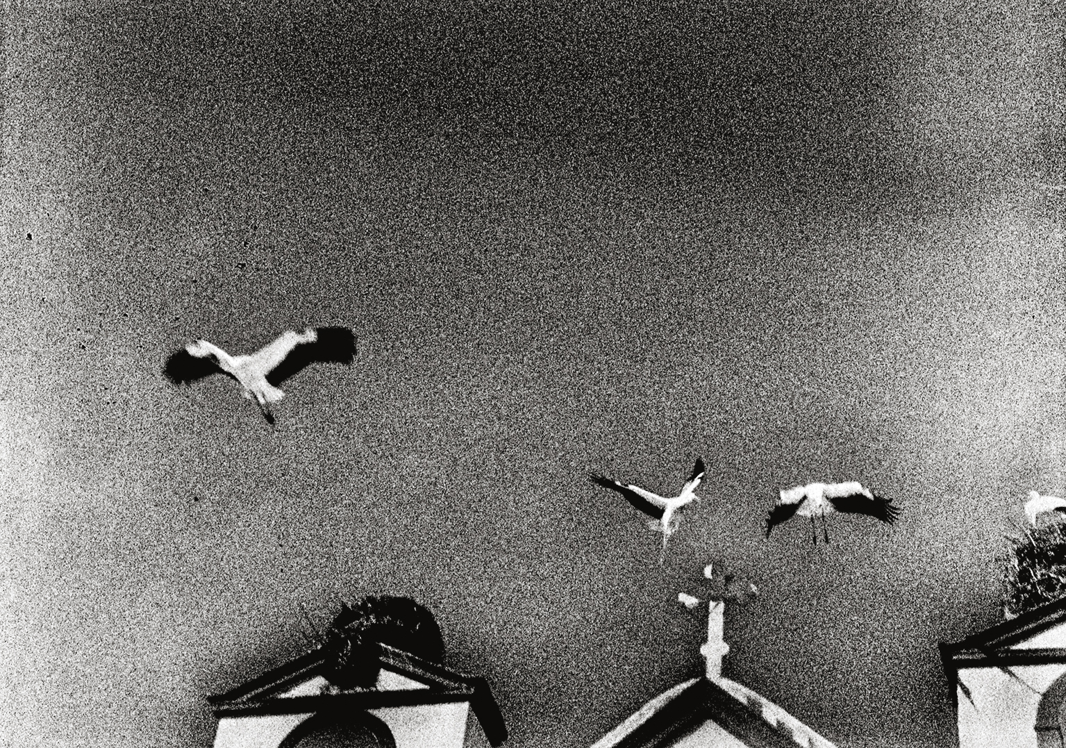 71_25071_SAZ_Porto_Vi_0120_020_flat