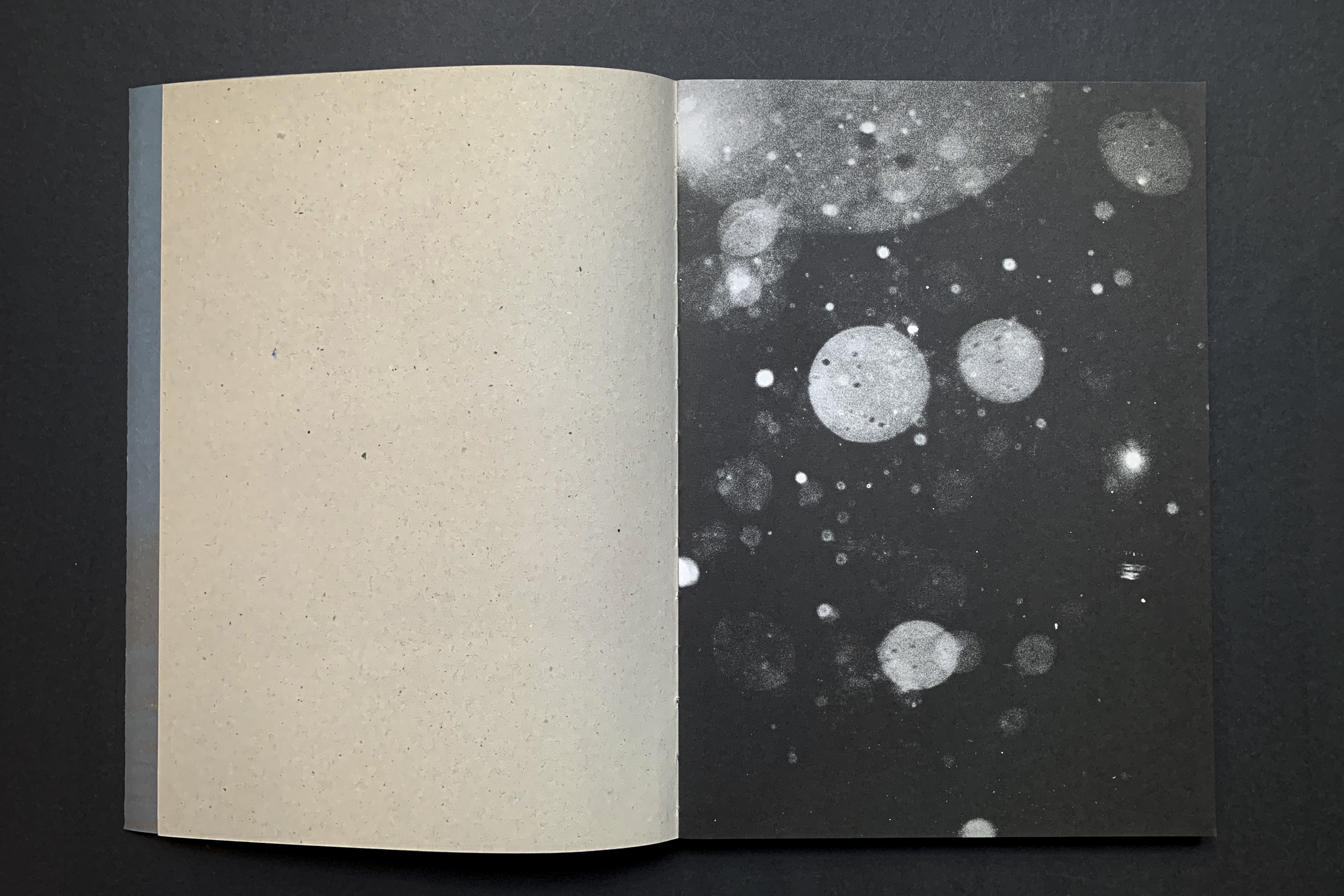 9_Kindness of One_book