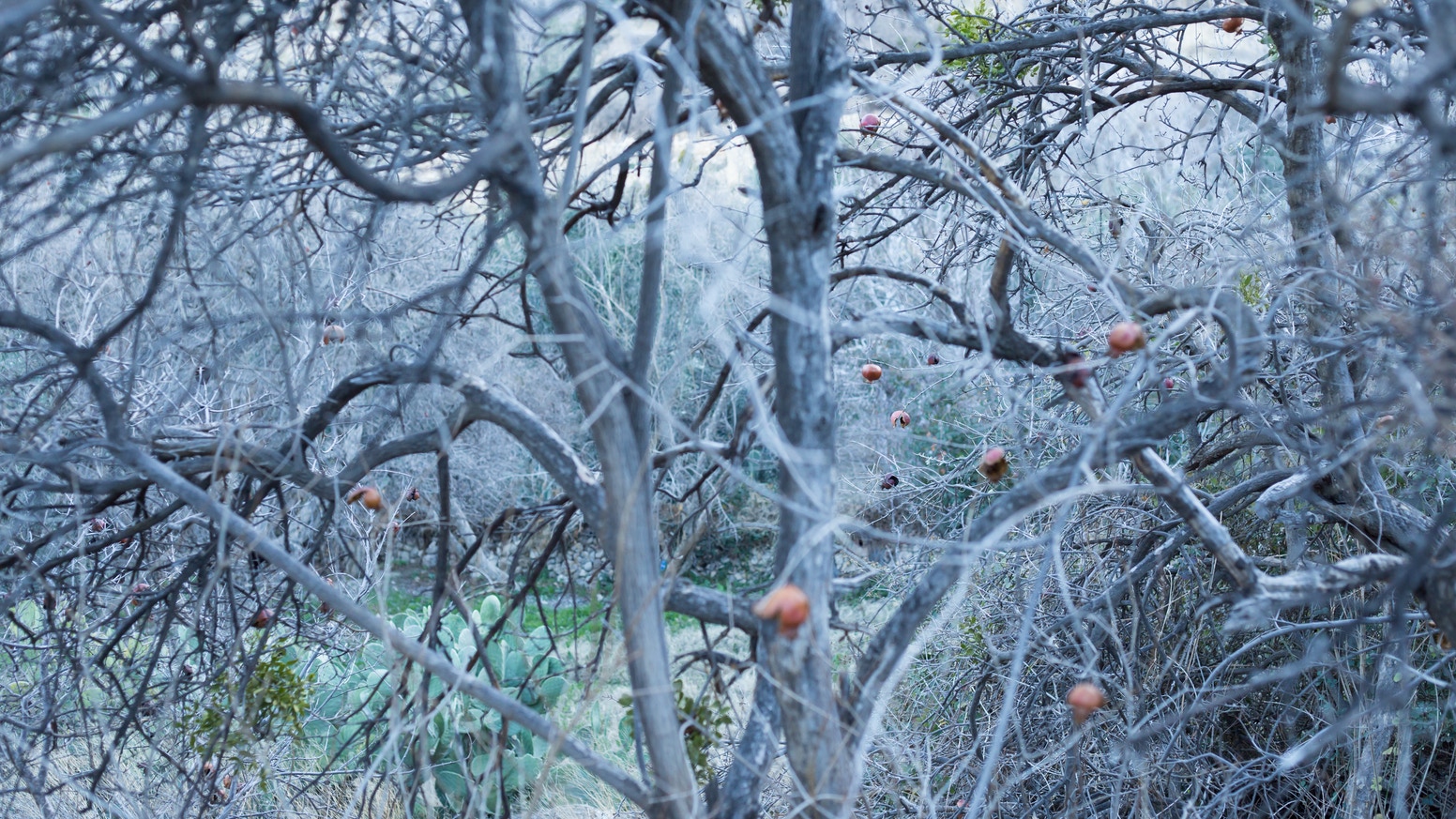 fb096966444cfec25d3847c977d4faa2_original