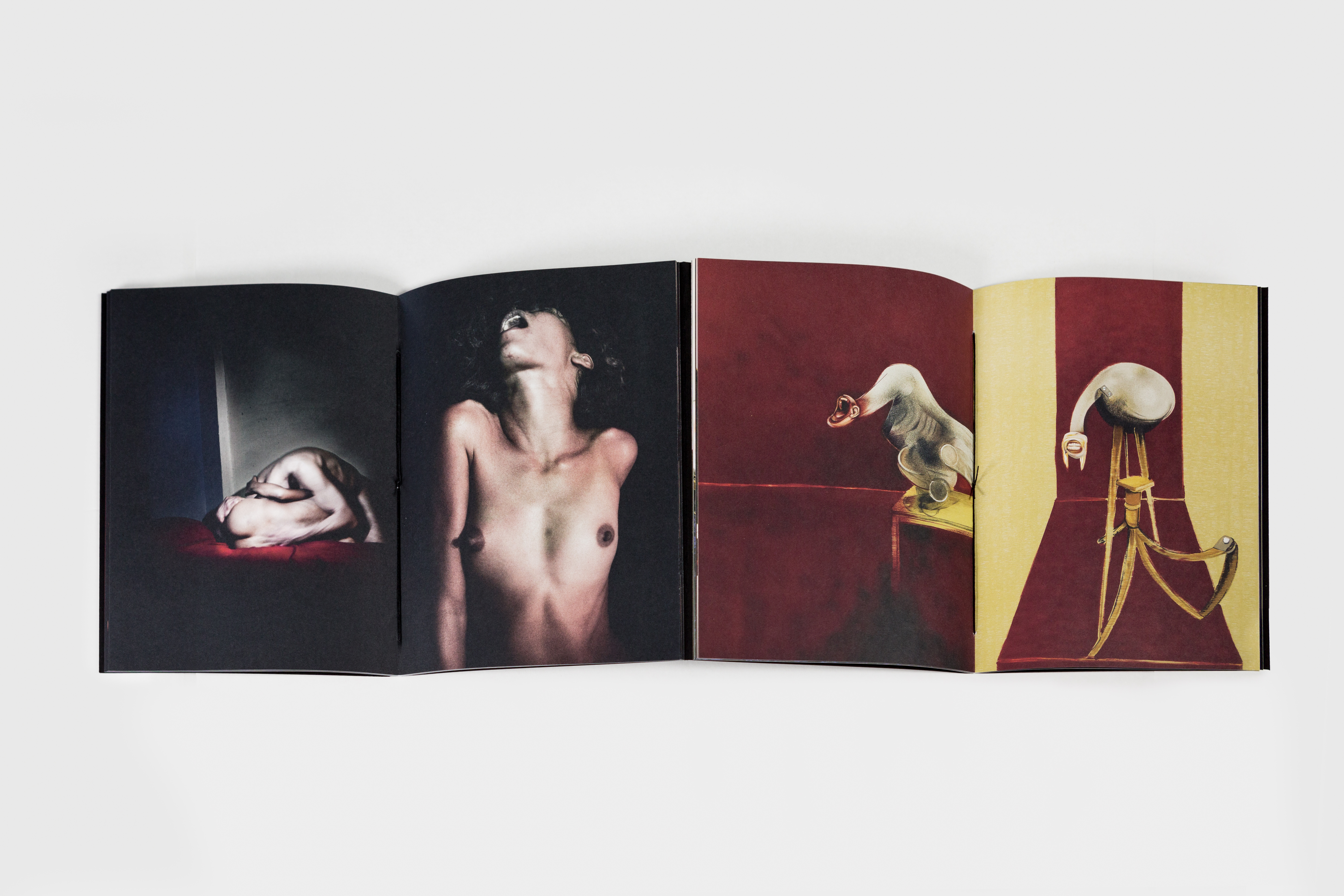 FR_20201120_313-Modifica