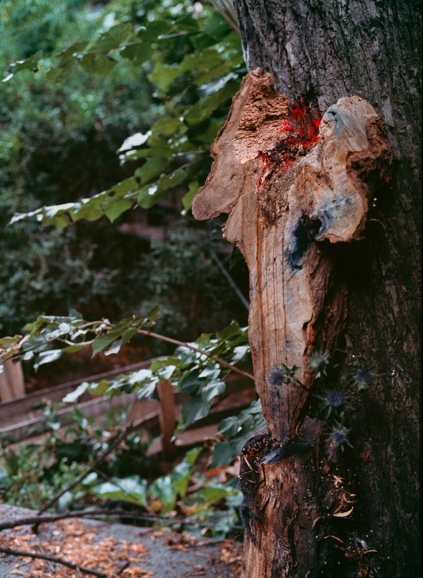 New Found Land, Berlin Kreuzdorf 2014