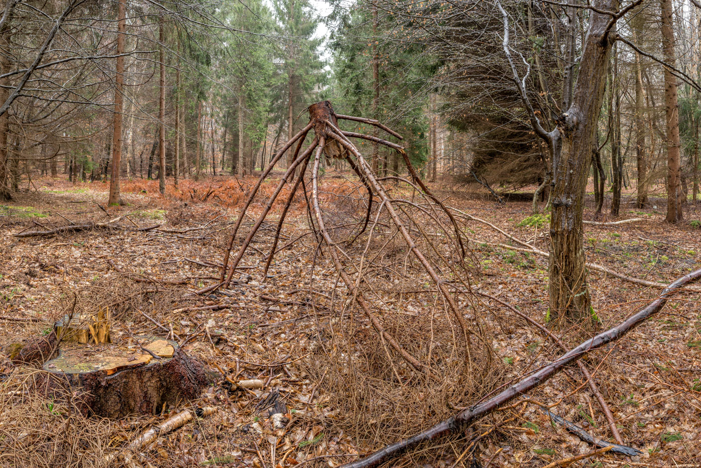 Carrefour de Joinville
