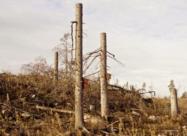 Skarmavbild2020-11-29kl.17.26.27_600x