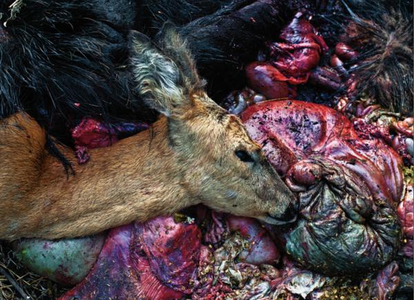 Skarmavbild2020-11-29kl.17.28.56_600x