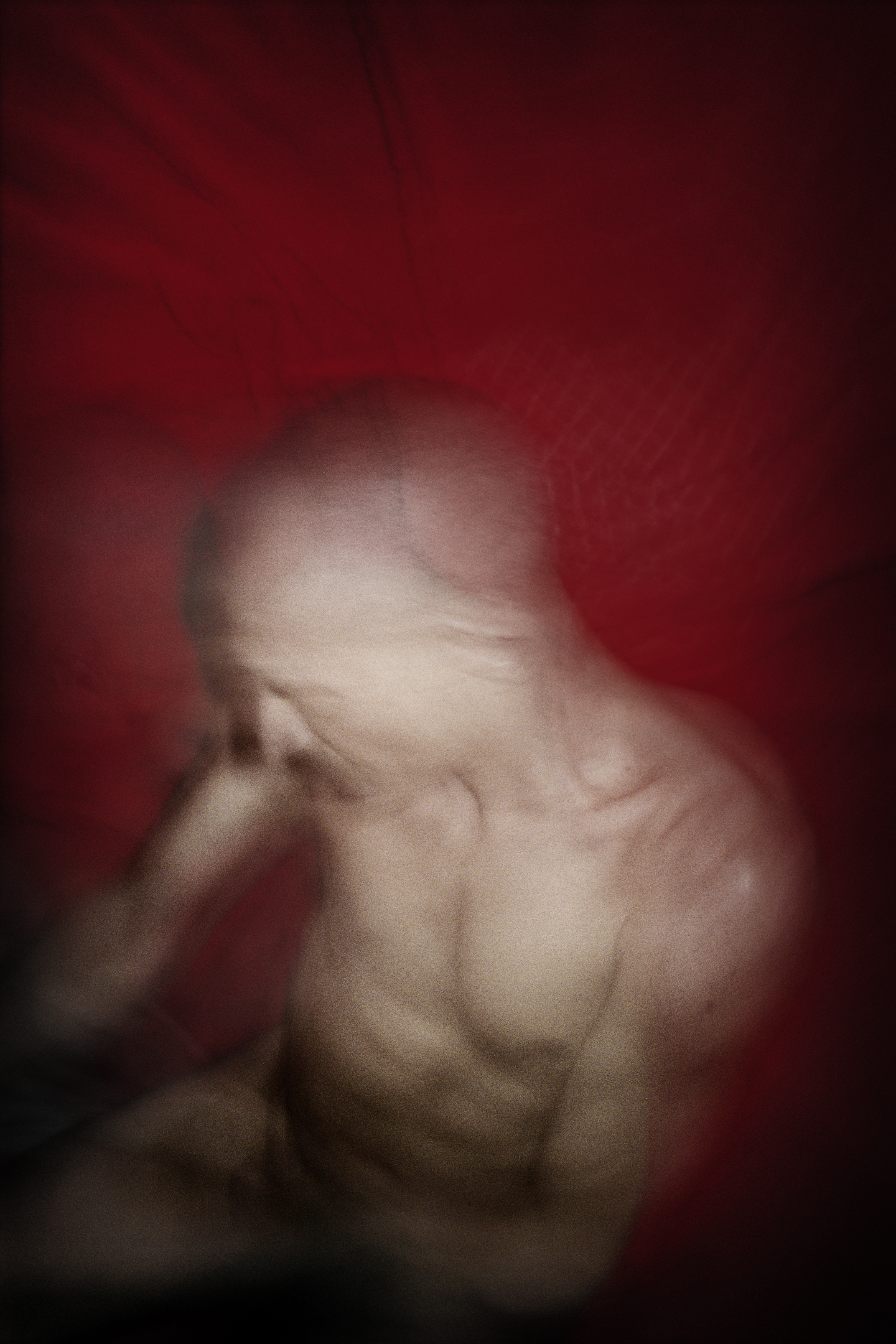 AGA2008015Z00031-31 001