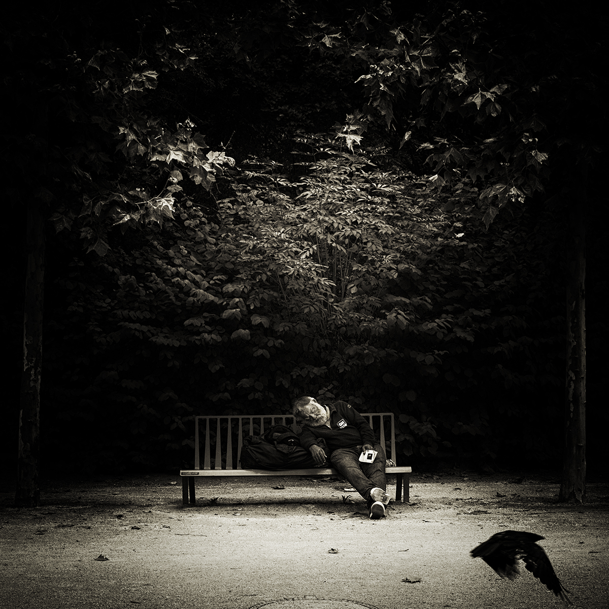 Voir les yeux fermés F.Domenet 01