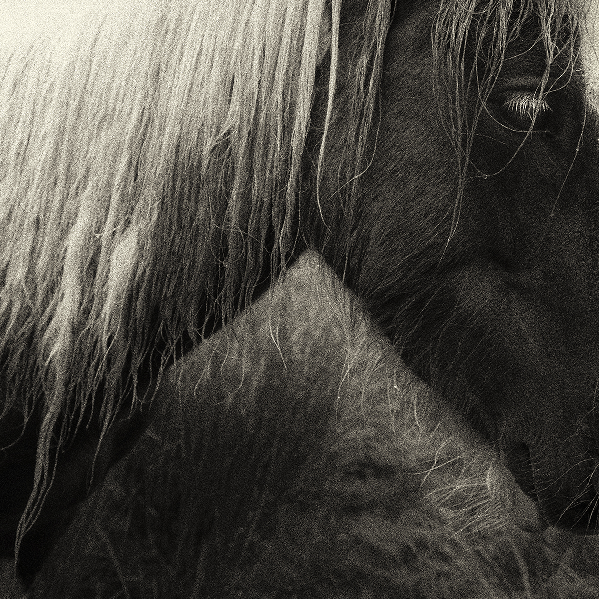 Voir les yeux fermés F.Domenet 13