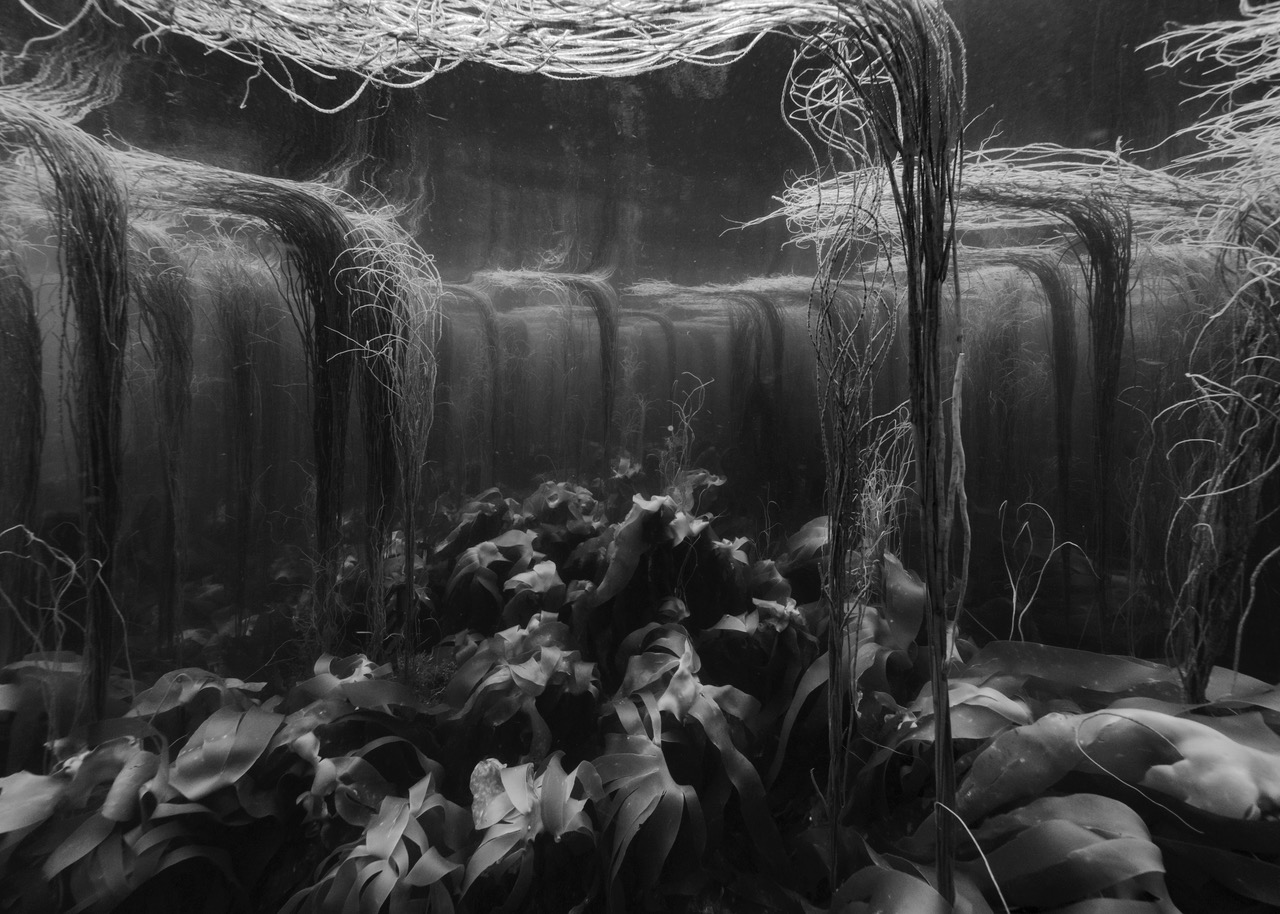 013 Molène, 19-062019-7207