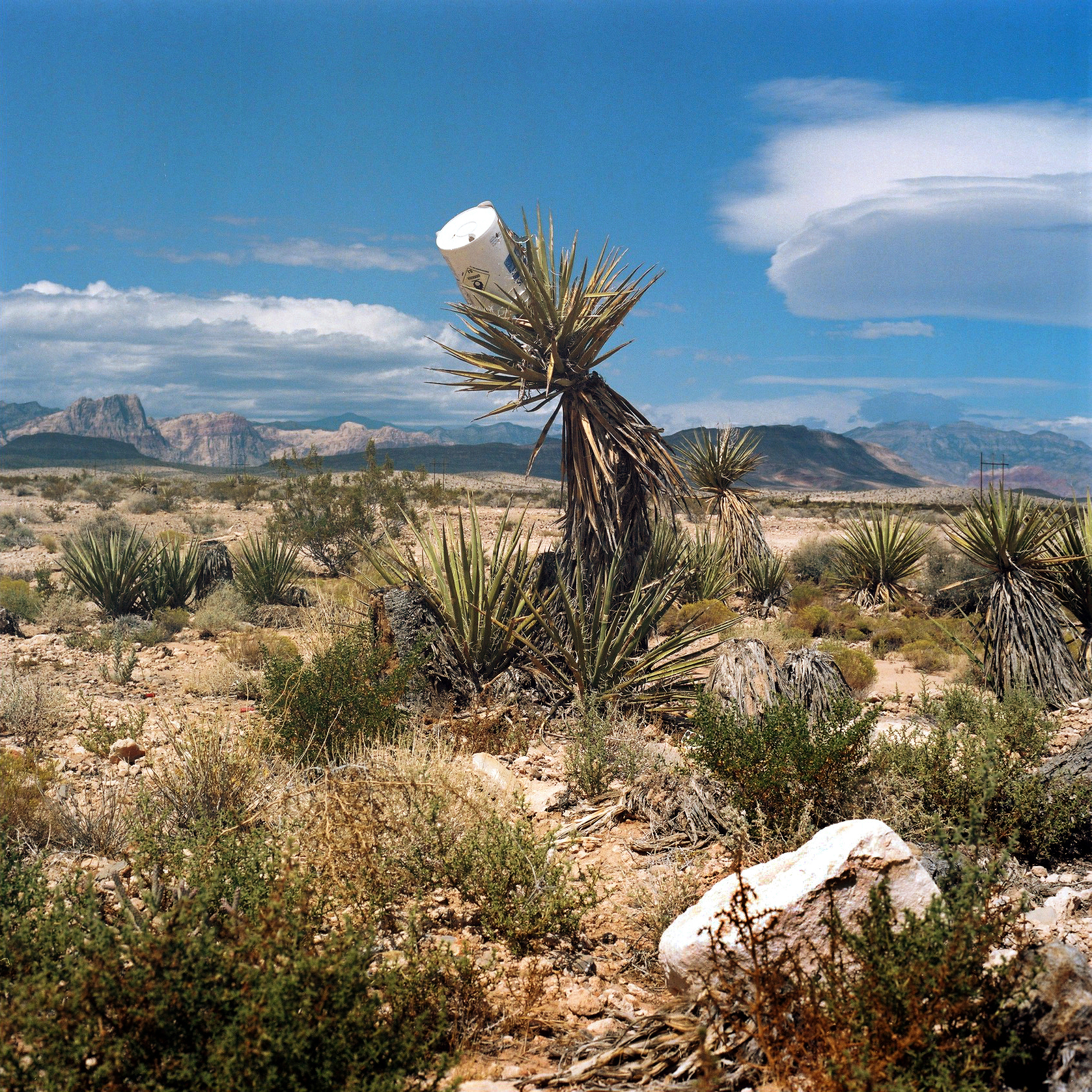 25_LasVegasTopographics2019®RonanGuillou