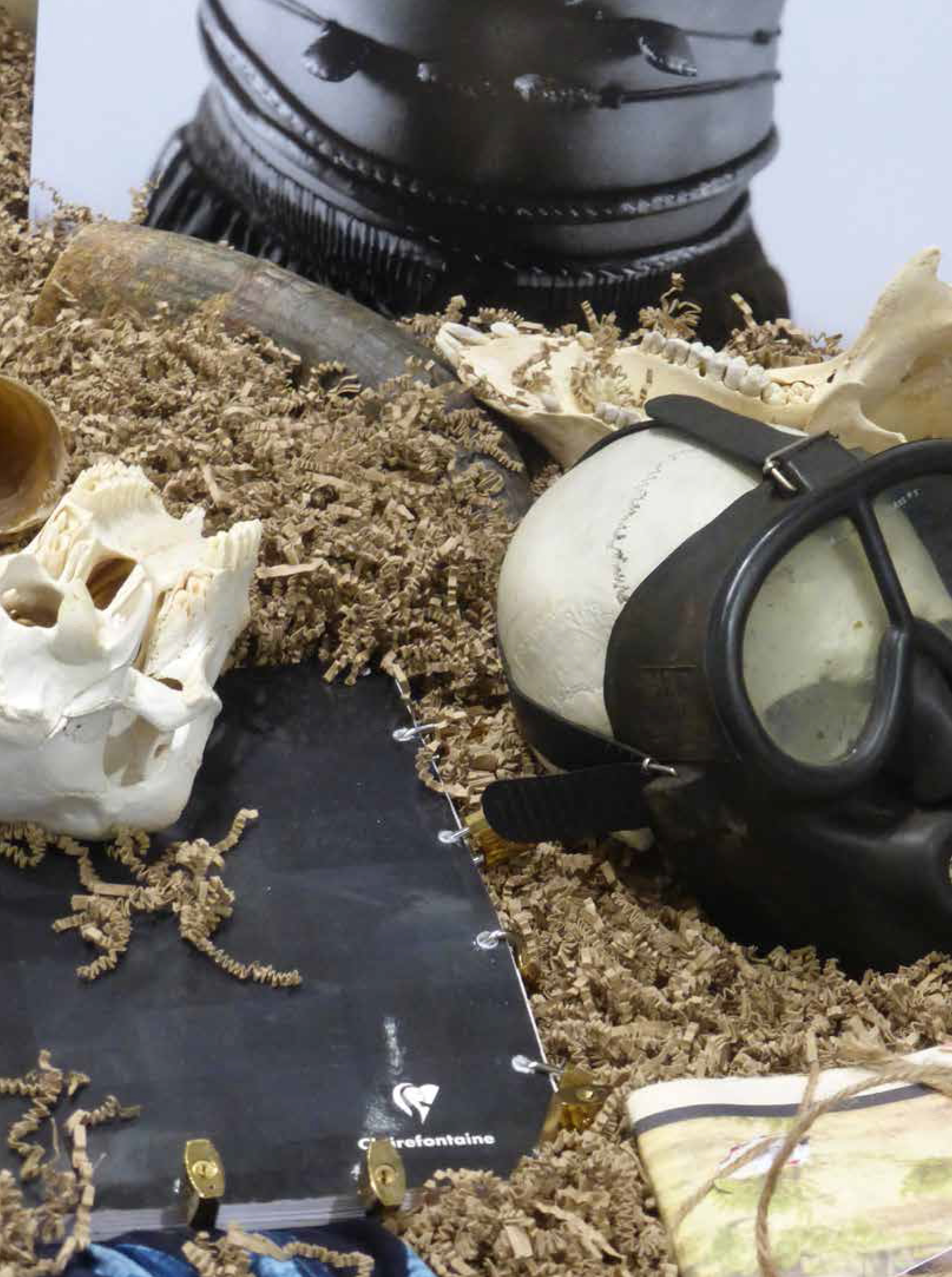 BABO-int relec def-99