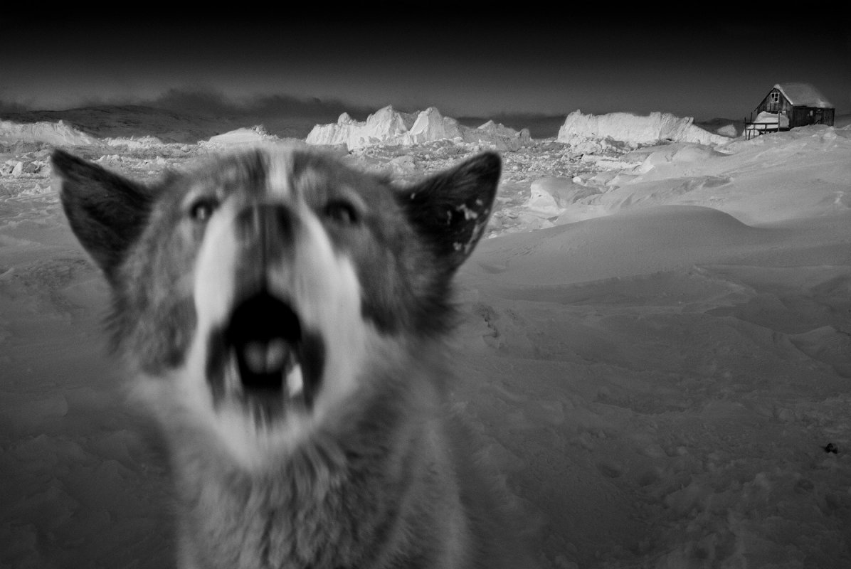 image_manager__lobp_fixedheight-m_ragnar-axelsson-leica-oskar-barnack-award-2020-4