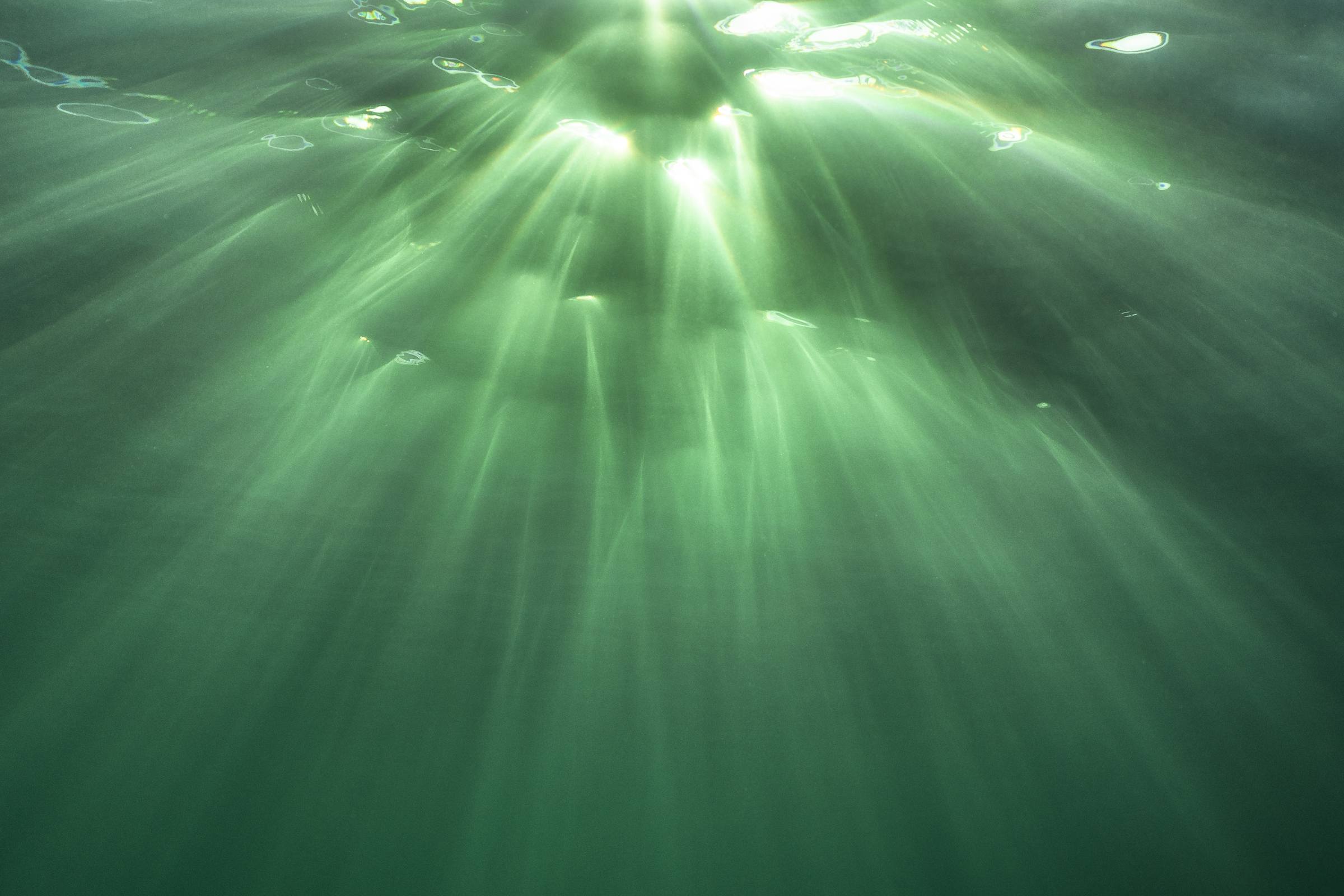 IMG_7028_27102019_©_David Tatin