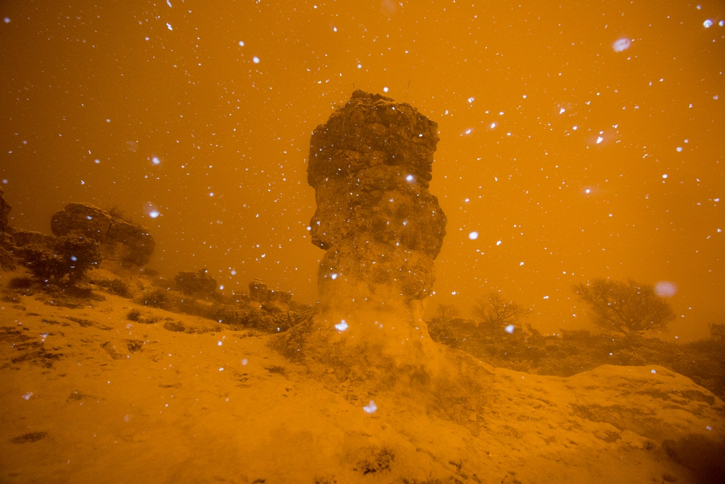 _MG_8752_30012019_©_David Tatin