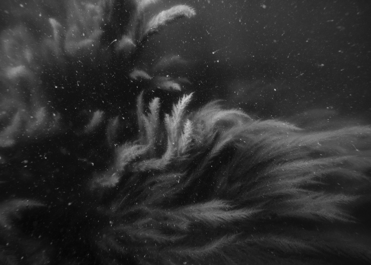 Nicolas Floc'h, paysages productifs, Initium Maris, Paimpol, 2019-4146