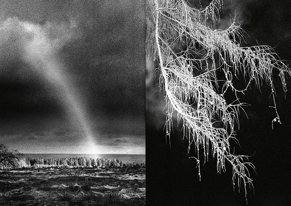 1010HRDN_Book_Web-62