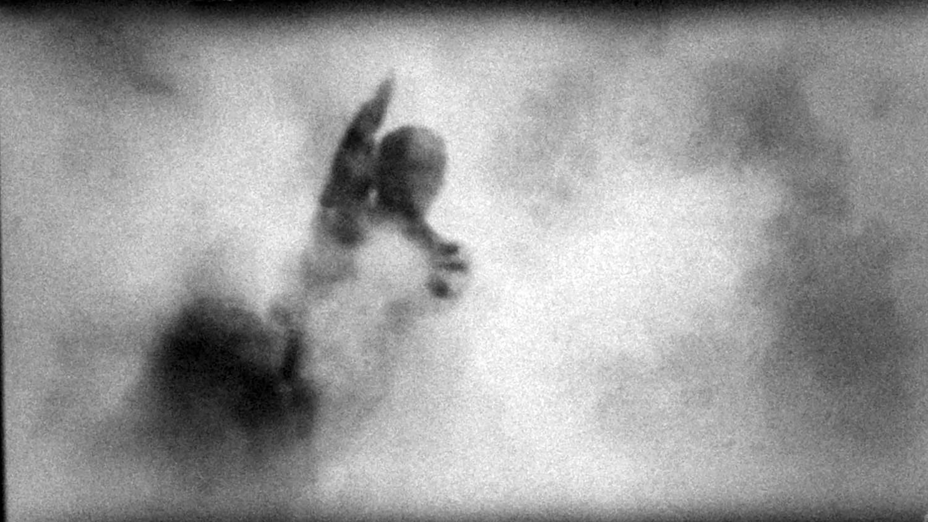 12_RDogana_CurdistanSoldier