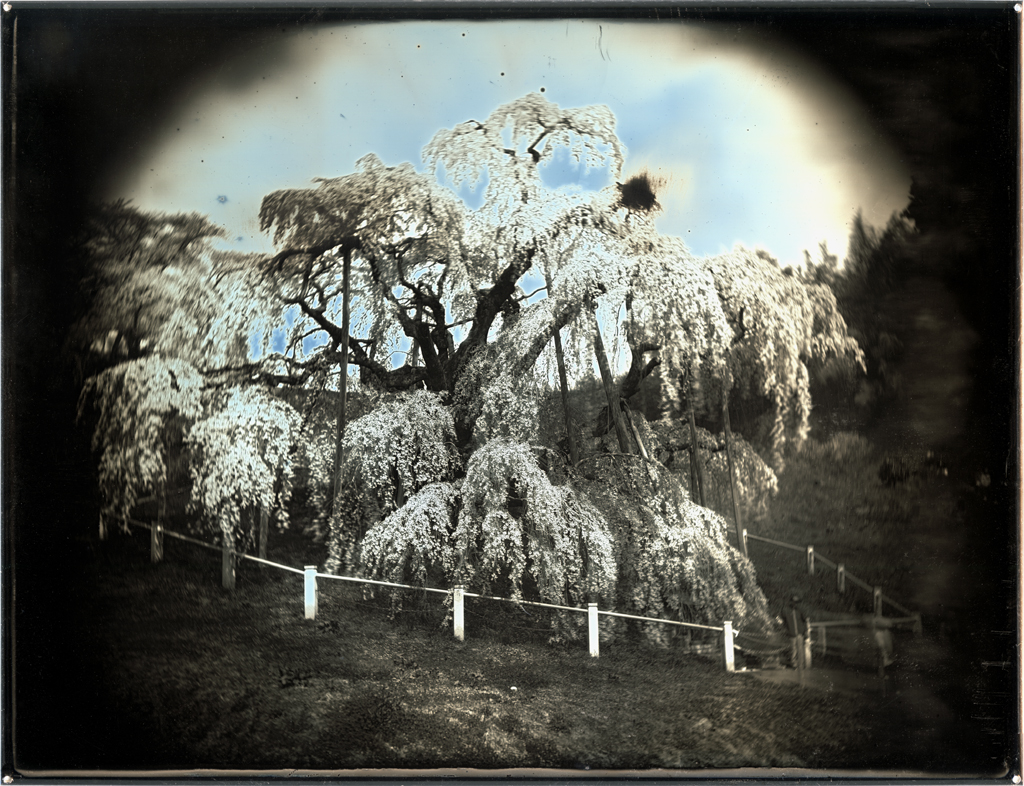 20200702-Takashi-Arai-AP21955