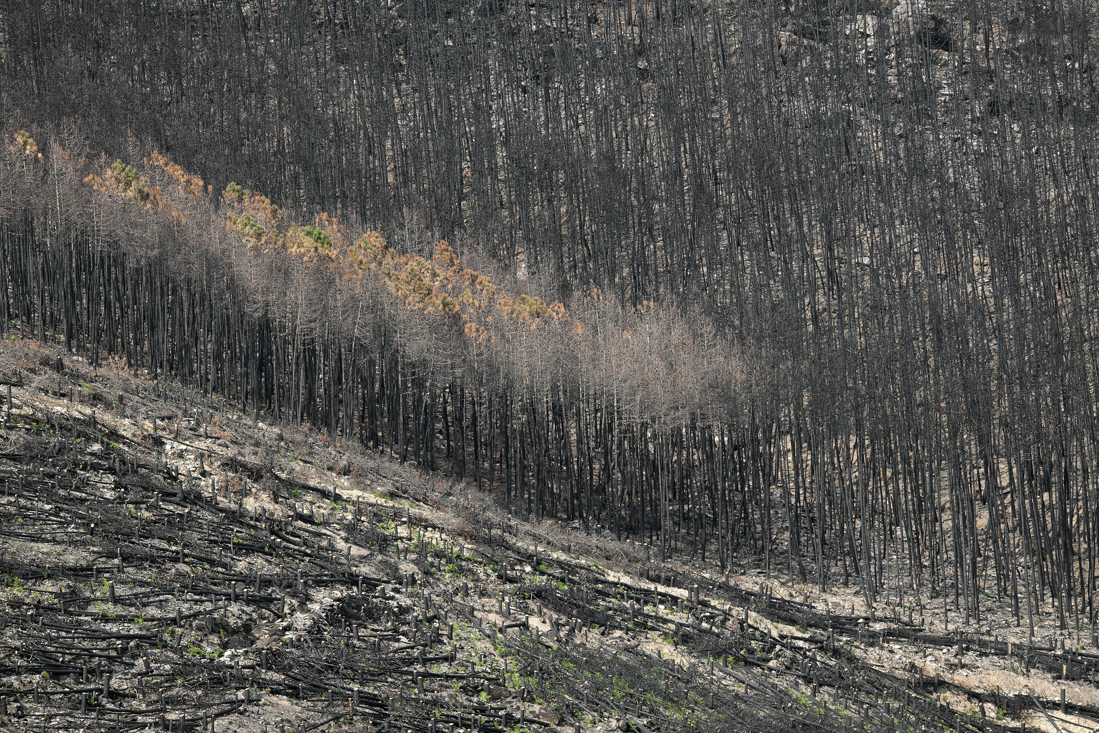 JMA_BORDERS_PRESSE_08