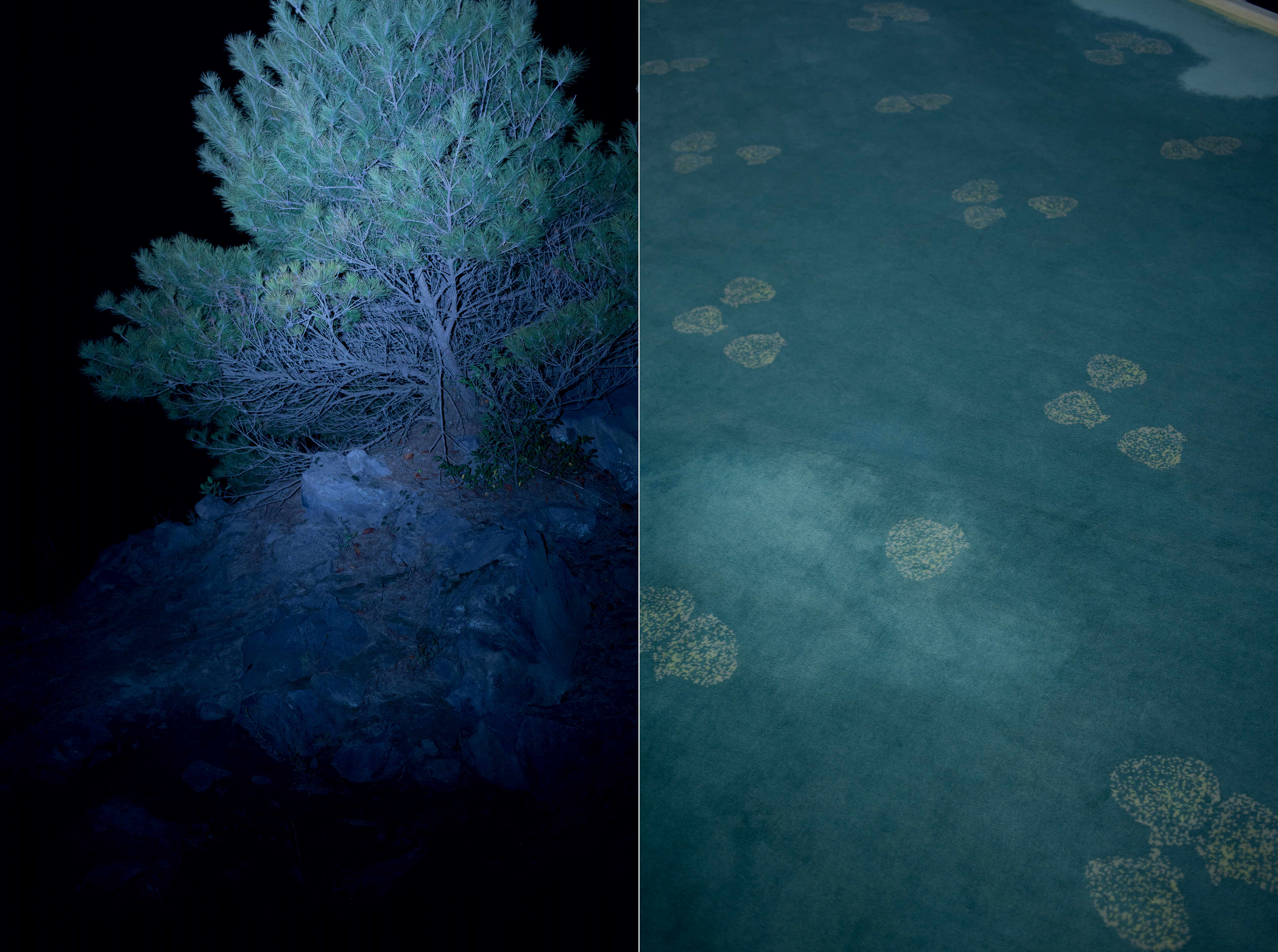 PW sunset memory sans cover v.3