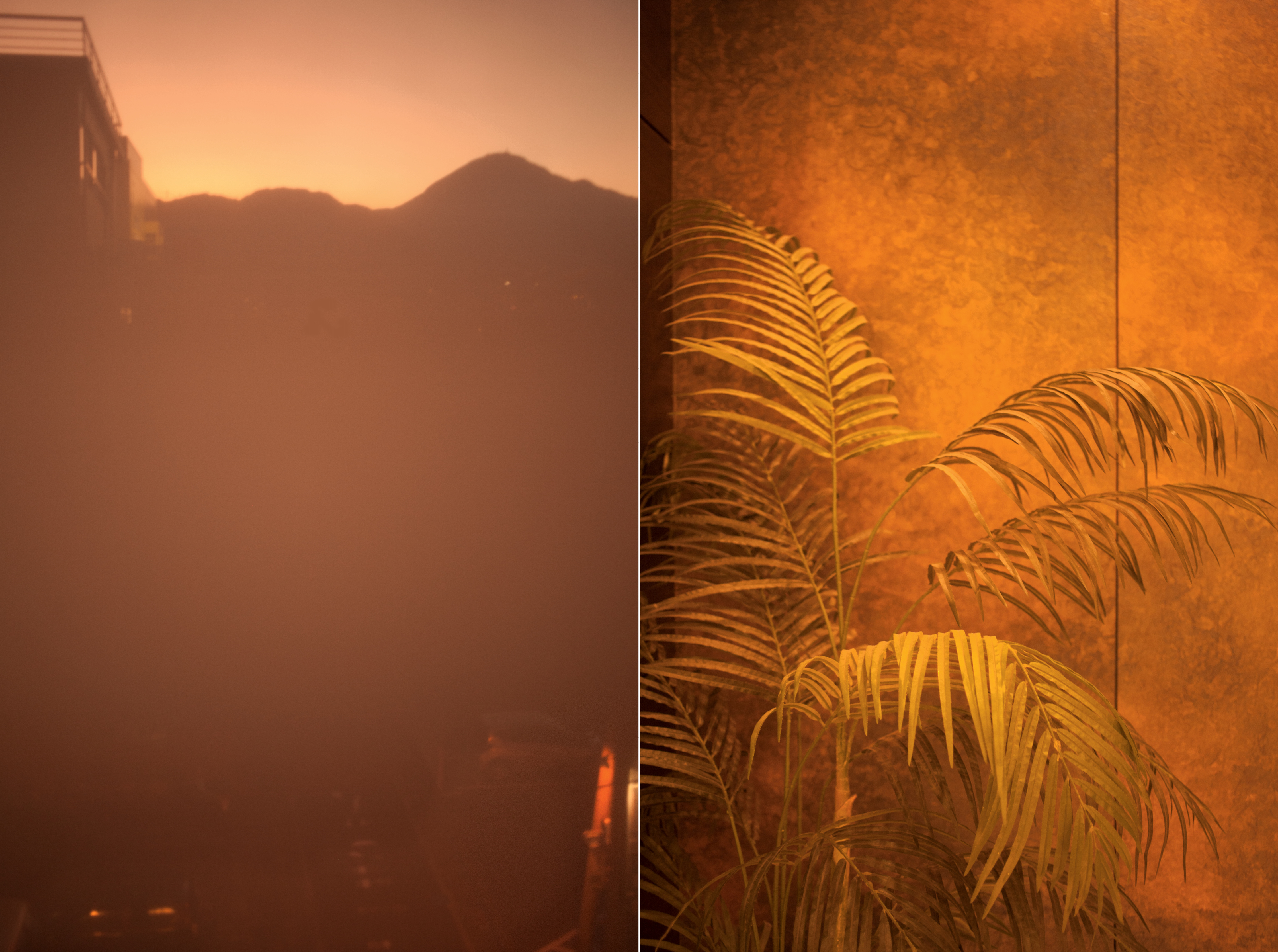 PW sunset memory sans cover v.310