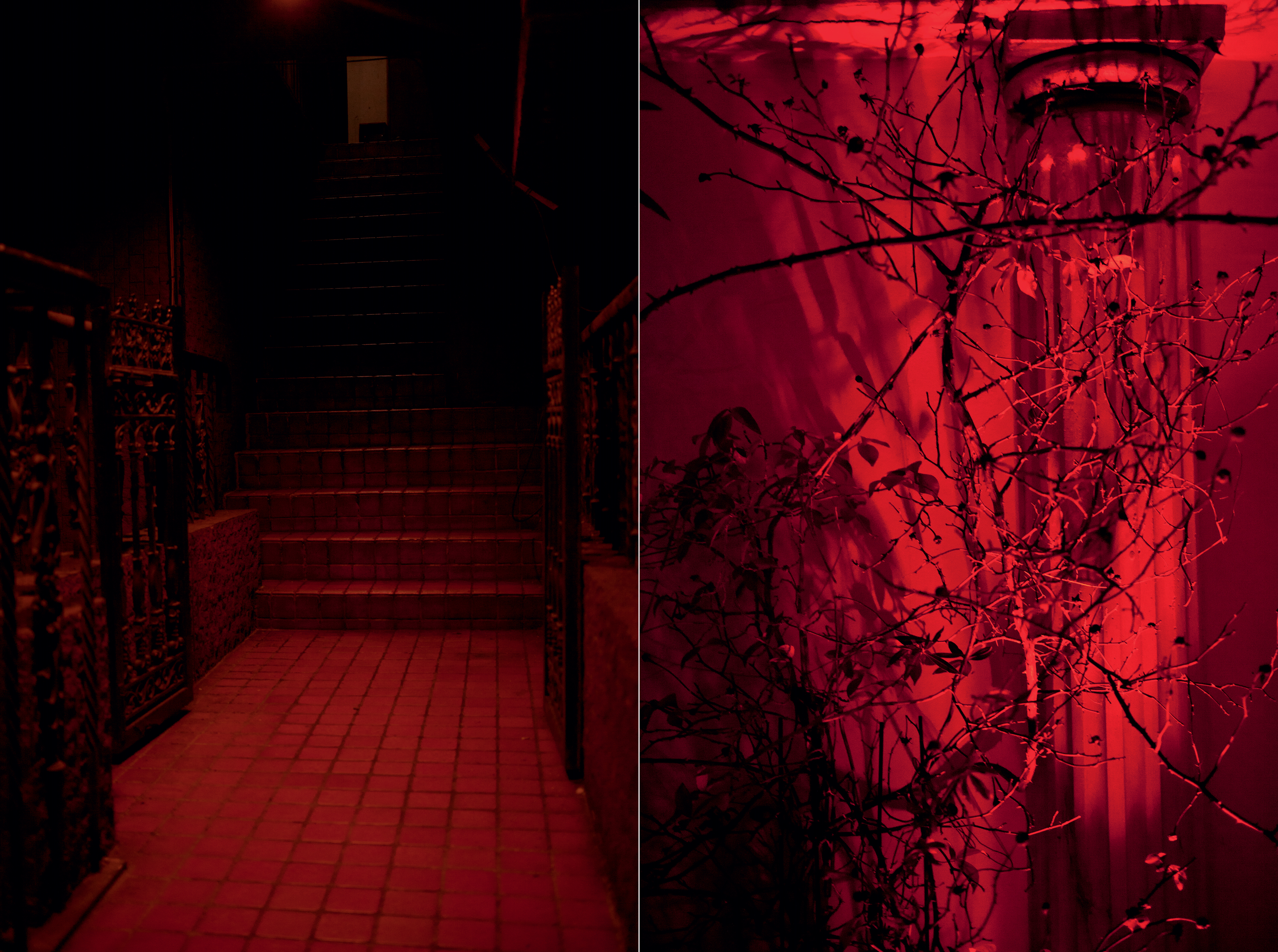 PW sunset memory sans cover v.313