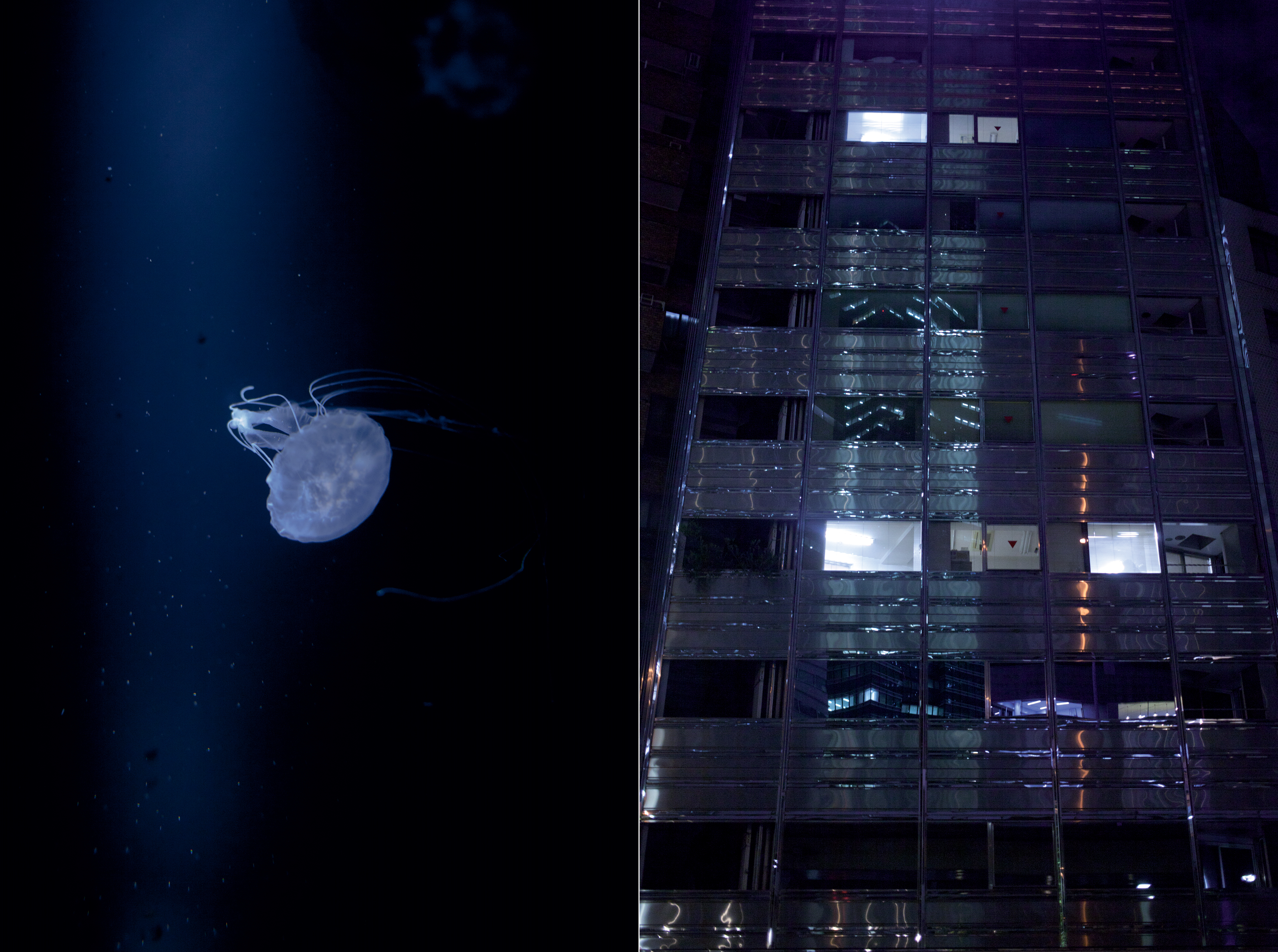 PW sunset memory sans cover v.38