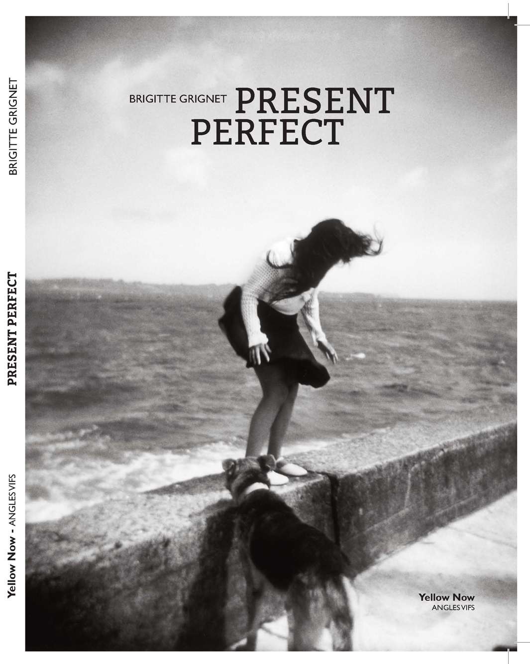 Couverture_PresentPerfect