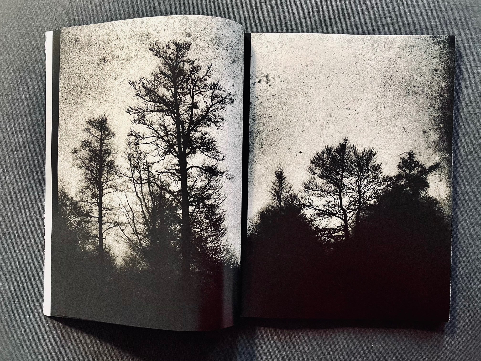 IMG_9047_1024x1024@2x (1)